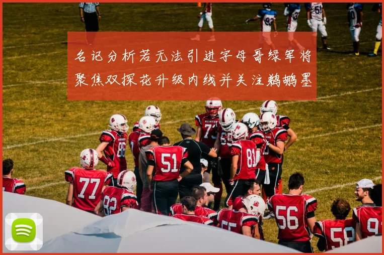 名记分析若无法引进字母哥绿军将聚焦双探花升级内线并关注鹈鹕墨菲